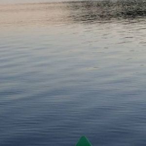 Meet your Posher, Janice